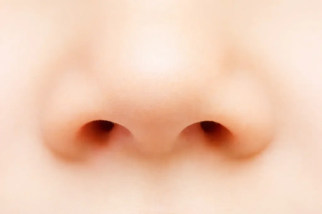 nose